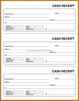 Fill in Your Cash Receipt Template
