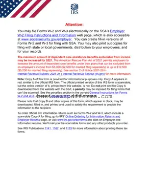 Fill in Your IRS W-2 Template